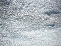 Antartica 南极82