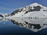Antartica 南极83