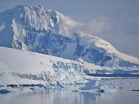 Antartica 南极85