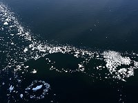 Antartica 南极86