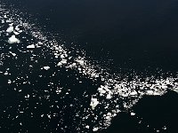 Antartica 南极87
