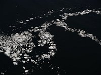 Antartica 南极88