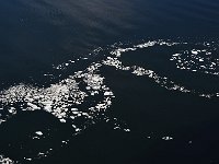 Antartica 南极89