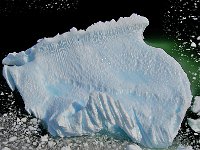 Antartica 南极90