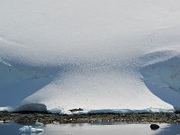 Antartica 南极93