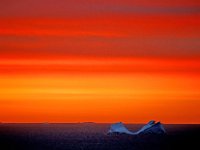 Antartica 南极94