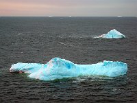 Antartica 南极99