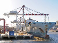 Harbor 港口21