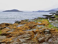 Tierra del Fuego Nat‘l Park 火地岛国家公园