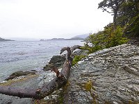 Tierra del Fuego Nat‘l Park 火地岛国家公园10
