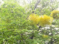 Tierra del Fuego Nat‘l Park 火地岛国家公园13