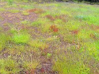 Tierra del Fuego Nat‘l Park 火地岛国家公园23