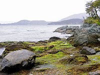 Tierra del Fuego Nat‘l Park 火地岛国家公园24