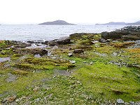 Tierra del Fuego Nat‘l Park 火地岛国家公园3