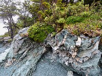Tierra del Fuego Nat‘l Park 火地岛国家公园4