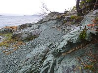 Tierra del Fuego Nat‘l Park 火地岛国家公园5
