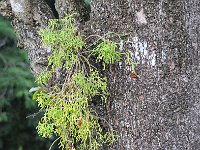 DSC 2608s  Iguazu 伊瓜苏13