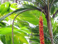 Botanical Garden 植物园33