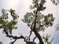 Botanical Garden 植物园9