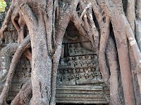 Ta Prohm Temple