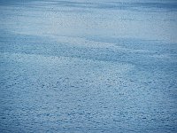 Chilean Fjords 达尔文海峽34