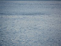 Chilean Fjords 达尔文海峽35