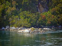 Chilean Fjords 达尔文海峽37