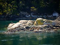 Chilean Fjords 达尔文海峽38