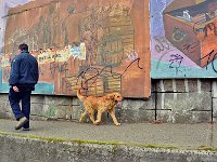 Puerto Montt 蒙特港12