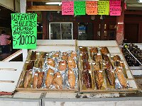 Puerto Montt 蒙特港20