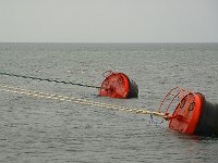Punta Arenas 蓬塔阿雷纳斯86