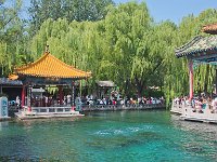 钓突泉公园