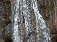 DSC 2262's