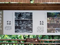 DSC 2564's