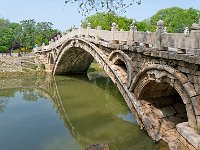 DSC 5189's