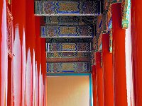 Beijing 北京2008 19