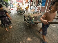DSC 2562's