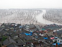 Fishman Village by Water 水边渔家