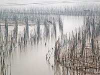 Fujian 福建