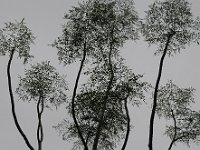 Hainan 海南10