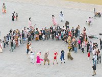 DSC 4190's