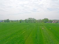 DSC 2581's