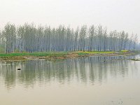 Longmen 龙门石窟42