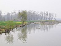 Longmen 龙门石窟46