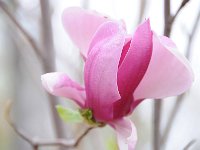 Luoyang 洛阳10