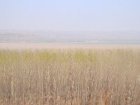 Luoyang 洛阳104