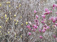 Luoyang 洛阳12