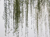 Luoyang 洛阳14