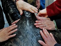Luoyang 洛阳28