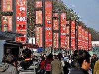 Luoyang 洛阳48